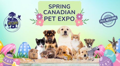 Spring Canadian Pet Expo's poster showcasing dogs, cats, rabbits and birds.